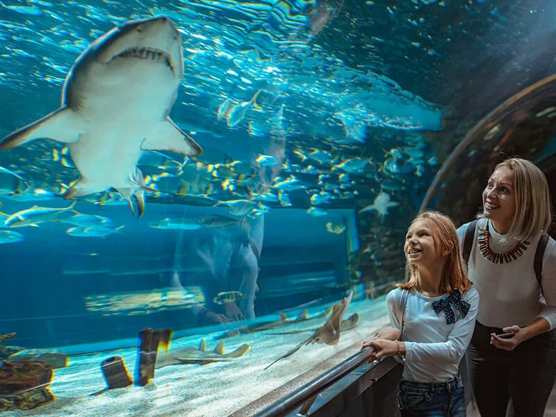 Canada's-largest-aquarium