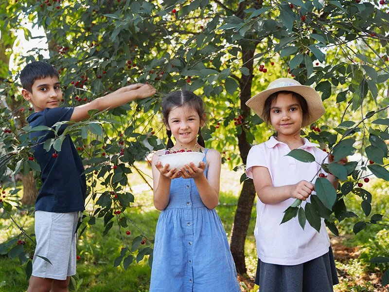 Gardening-is-one-of-the-most-rewarding-nature-activities-for-kids