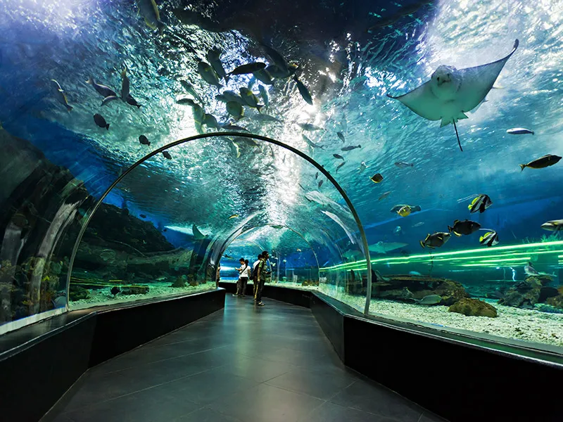 The-aquarium-also-offers-informative-presentations